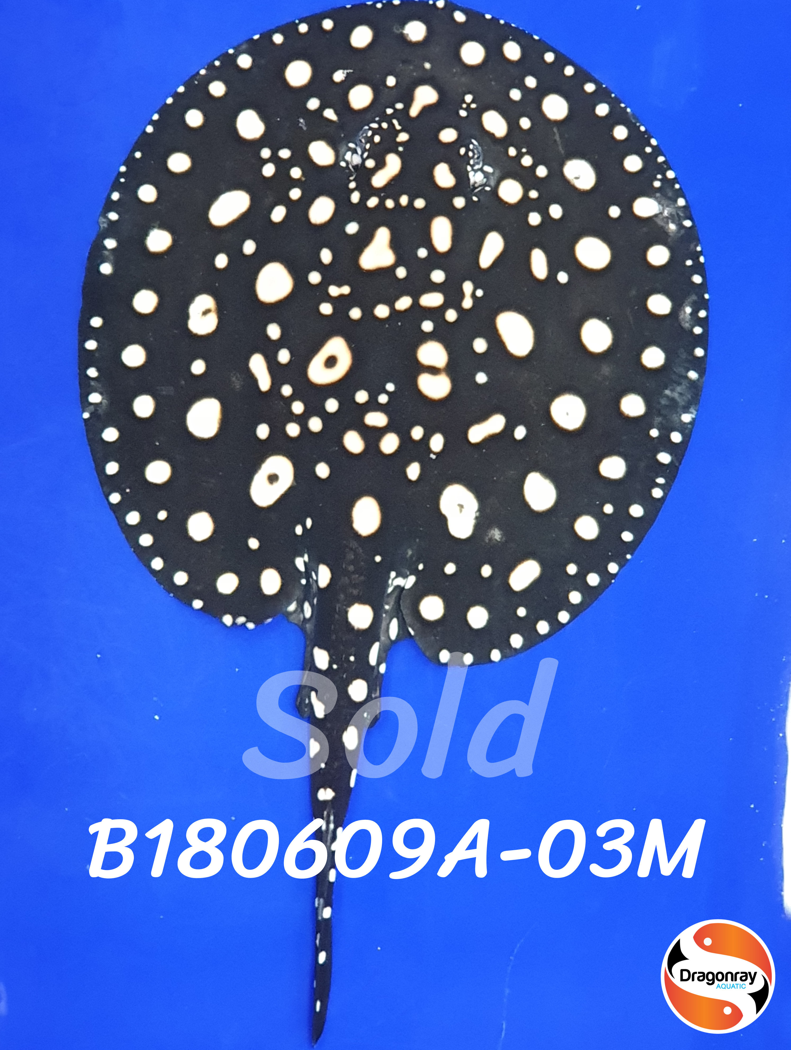 B180609A-03M